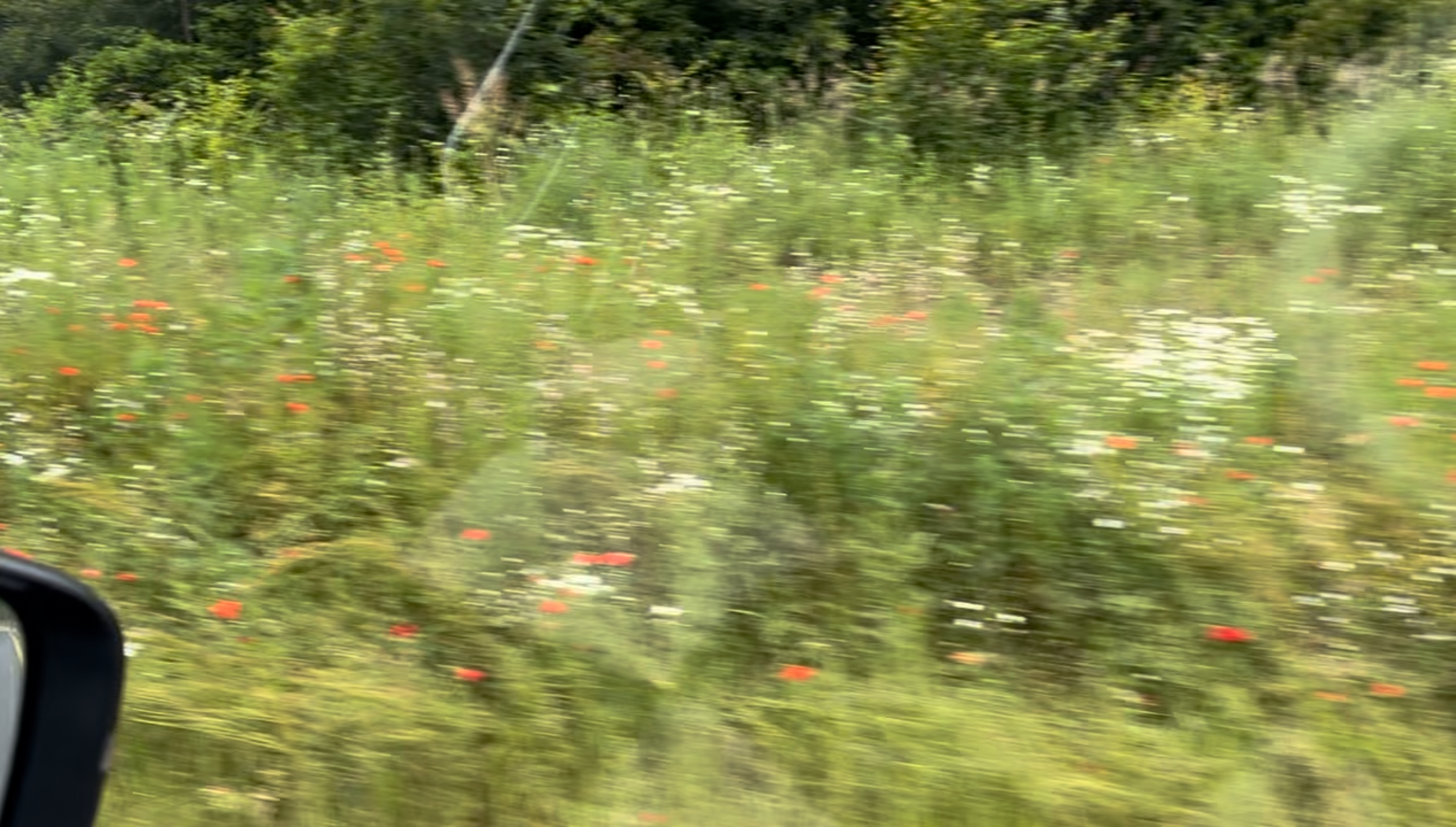 Finding Meaning in Germany (part 1)